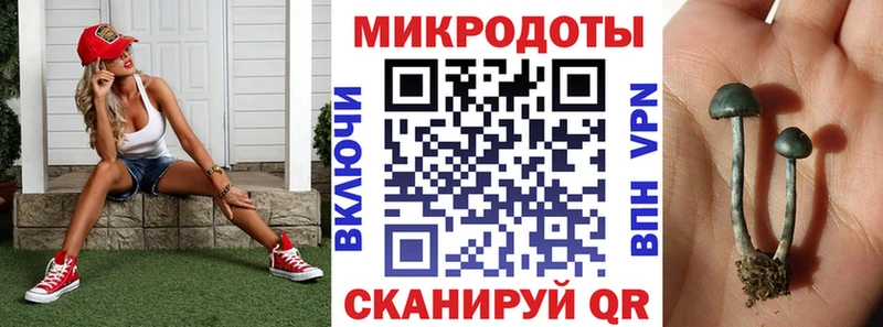 kraken зеркало  Заволжск  Псилоцибиновые грибы прущие грибы 
